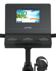 True Performance Series Recumbent Bike