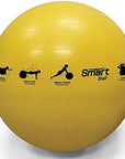 Prism Smart Stability Balls (Yellow, Green & Blue)