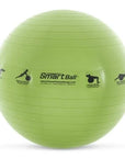 Prism Smart Stability Balls (Yellow, Green & Blue)