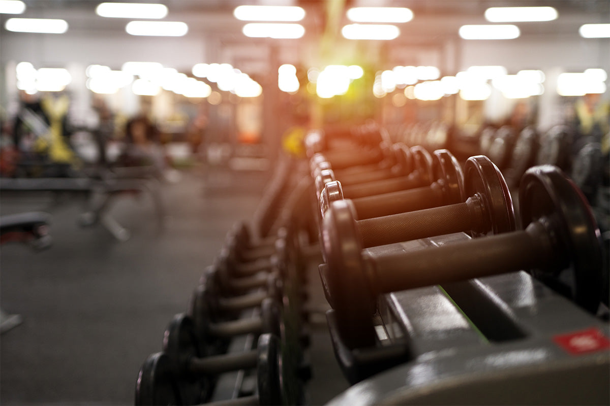 Different dumbbell weights in fitness center.